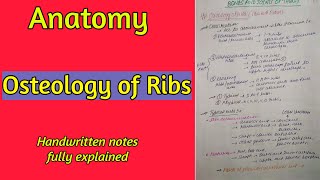 Osteology of Ribs  Bones and Joints of Thorax  Anatomy  By Namita Ussara [upl. by Nnaillij]