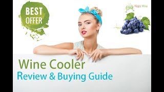 9 Best Wine Cooler Review and Buying Guide 2018  for single and multiple bottles [upl. by Glasgo905]