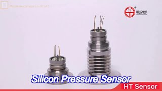 19mm diameter silicon diaphragm pressure sensor 316l piezoresistive pressure sensor [upl. by Biebel703]