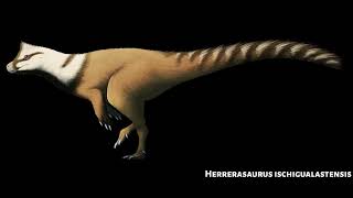 Sounds of Herrerasaurus ischigualastensis [upl. by Hukill]