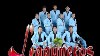 LAGUNEROS de TIXTLA  Popurri de Boleros estudio cd 2016 [upl. by Peisch379]