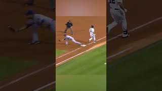 Top 10 WTF Moments in the MLB Part 2 mlb baseball [upl. by Anemij]