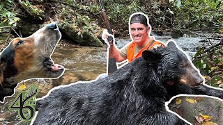 BEAR HUNTING with HOUNDS  North Ga Mountains [upl. by Remas]