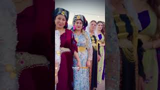 Keçe Kurdan🔥🔥 kurdishwedding kurdishgirl [upl. by Neelyak]