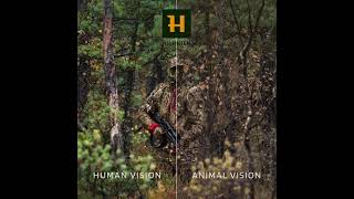 Harkila Moose Hunter 20 [upl. by Timotheus]