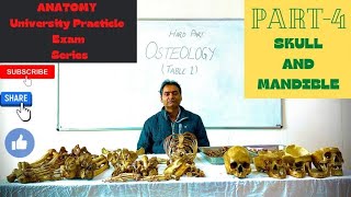 imp viva question of head and neck osteologyscience [upl. by Aroda38]