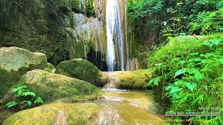 Soothing Rain River Waterfall Relaxation Sound Rain River Waterfall Sound Flowing Water In Forest [upl. by Ajna337]