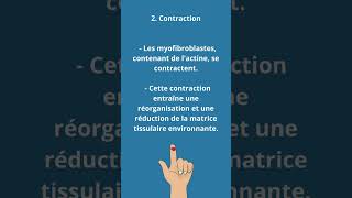 Comment les plaies se refermentelles [upl. by Alyled]