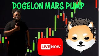 LIVE DOGELON MARS PRICE [upl. by Orsini]