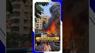 Kolkata Fire দক্ষিণ কলকাতায় লর্ডস মোড়ের কাছে বাজারে বিধ্বংসী অগ্নিকাণ্ড [upl. by Biebel6]