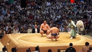 Tournoi de Sumo a Nagoya combat de Hakuhō Shō le plus grand champion actuel [upl. by Aeret]