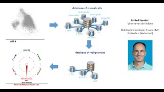 Flow cytometric diagnosis of acute leukemia with the Acute Leukemia Orientation Tube DUTCH [upl. by Cleasta]