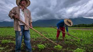 Cabañuelas tradición de predicción meteorológica del año IUSAsesores Noticias [upl. by Link]