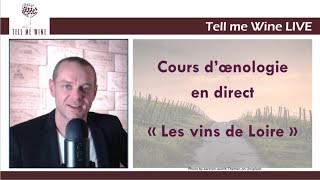 COURS DOENOLOGIE  LES VINS DE LOIRE  Devenez incollable [upl. by Nared]