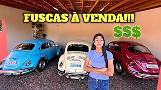 PROCURA UM FUSCA  OLHA ESSES Á VENDA [upl. by Ahsirpac]