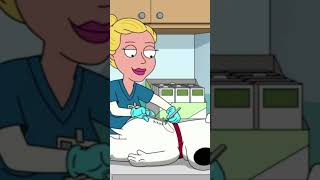 Playing Ed Sheeran through my dog🤣Family Guy [upl. by Lustick759]