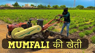 Mumfali ki kheti me ghas ki safai मुगफली कि खेति मे घास की सफ़ाई khetibadi villagelife kisan [upl. by Lillith166]