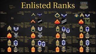 US Military All Branches ENLISTED Ranks Explained [upl. by Yelroc856]