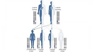 SISG 10 Genetic Epidemiology [upl. by Anegroeg]