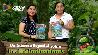 Especial  ¿Cómo se clasifican los Bioindicadores [upl. by Eckel812]