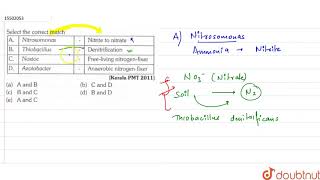 Select the correct match ANitrosomonasNitrite to nitrateBThiobacillusDenitrific [upl. by Aroc867]