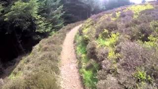 Glentress Goat track [upl. by Romanas]