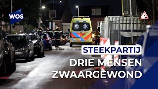 Steekpartij op straat in Honselersdijk [upl. by Laro]