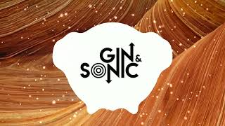 Martin Solveig  Intoxicated Gin and Sonic x Sell Out MC remix FREE DOWNLOAD [upl. by Ahsinyt22]