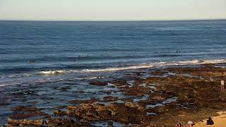 Jbay Surf Fest Day 1  Webcam Livestream [upl. by Nihahs]