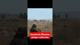 Ultimos bisontes rdr1 rdr2 reddeadredemption game extinción caza animales fyp l3jez [upl. by Hoebart]