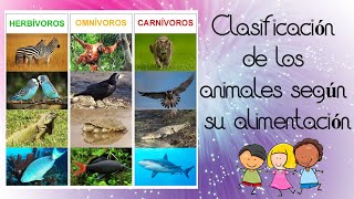 Animales carnívoros herbívoros omnívoros para niños [upl. by Nhguavahs]