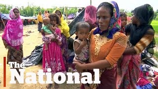 Ethnic cleansing of Rohingya Muslims Chrystia Freeland [upl. by Zetnwahs153]