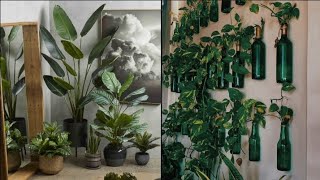 plant decor in living roomplants decoration ideasplants decoration ideas at homeplants decoration [upl. by Hoeve]