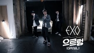 EXO으르렁 GrowlJun Sung Ahn Violin amp Dance Cover [upl. by Adnilreh]