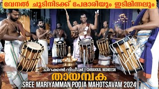 Thayambaka  CHIRAKKAL NIDHEESH  Sree Mariyamman Pooja Mahotsavam 2024 chenda kerala 4k [upl. by Poucher]