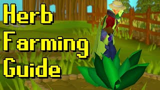 Everything you need to know to do herb runs [upl. by Buehrer]