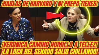 ¡BOFETADON QUE SE LLEVÓ LA LOCA DEL SENADO ¡VERONICA CAMINO LA HIZO TRIZAS [upl. by Ellatsyrc391]