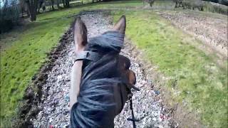 Hall Farm Racing gallops  Peckleton 2020 [upl. by Nafets468]