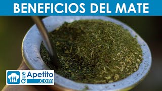 8 Propiedades y Beneficios del MATE  QueApetito [upl. by Selec666]