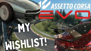 The MUST HAVE features of Assetto Corsa Evo [upl. by Alric528]