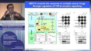 Emerging Paradigms in Precision Medicine for Lung Cancer [upl. by Aicekan759]