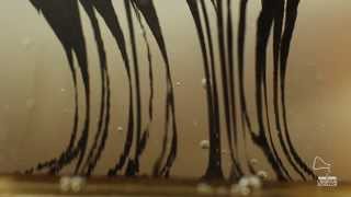 Ferrofluid  Pillar from [upl. by Acemat]