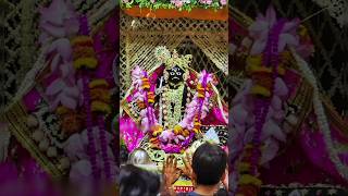 बोलो वृंदावन श्री बांके बिहारी लाल की जय  Banke Bihari ji ke darshan bankebihari vrindavan [upl. by Benjy]