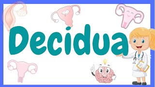 DECIDUA Decidua embryologydecidua in hindi  decidua basalis Decidua [upl. by Minette452]