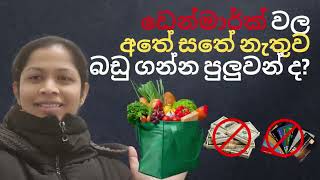 ඩෙන්මාර්ක් වල සුපර්මාර්කට් එකකින් අතේ සතේ නැතුව බඩු ගත්තා ​ shopping lifeineurope sinhalavlogs [upl. by Maisey247]