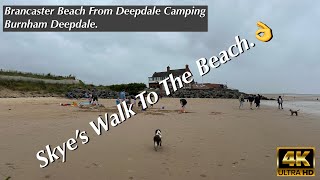 Skye’s Walk To Brancaster Beach From Deepdale Camping amp Rooms Day 2 [upl. by Wolcott]