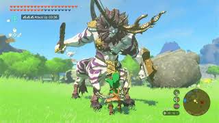 How to EASELLY kill a Silver Lynel in Tears of the Kingdom [upl. by Slavin]