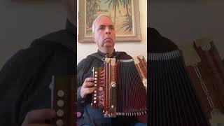 Le Reel de l’Hôtelier 710 Cajun Accordion Martin lygeros music accordion ‪shorts learn [upl. by Rhoades90]