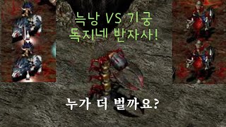 거상 기궁 vs 늑낭 독지네 반자사 누가 빠른가 [upl. by Eibba]