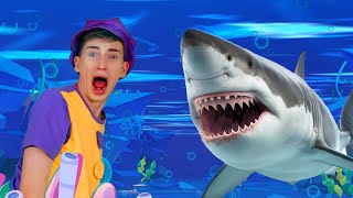 Sharks in the Water 🦈  Kids Funny Songs [upl. by Kcinemod761]